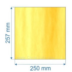 00170  Vitre de poele en Vitrocéramique 257x250 mm Godin 325101 3843 3853 38,00 €