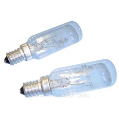 232091  2 LAMPES DE HOTTE 4,90 €