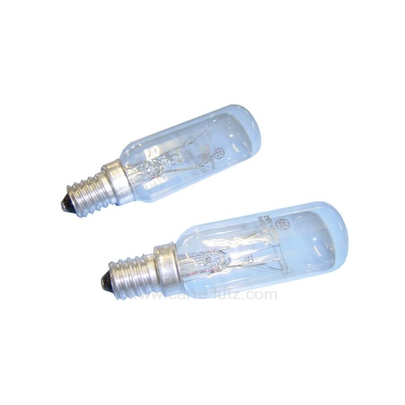 232091  2 LAMPES DE HOTTE 4,90 €