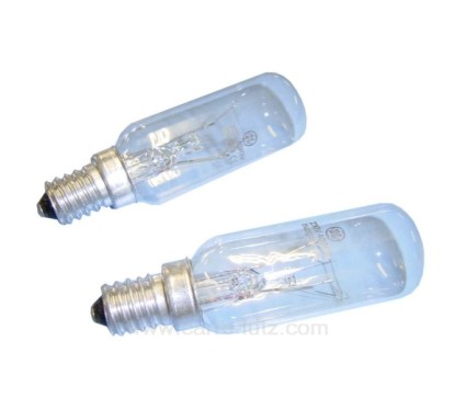 232091  2 LAMPES DE HOTTE 4,90 €