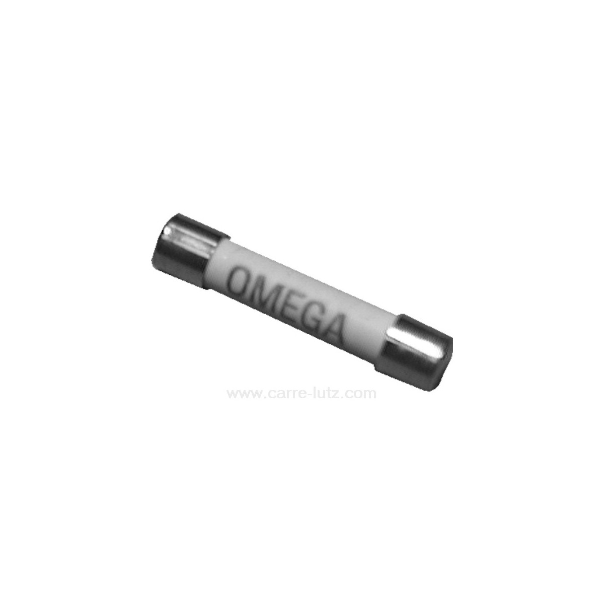 742016  Fusible 5x20 mm 10 Ampère 0,76 €
