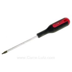 920730  TOURNEVIS TORX PERCE 10 8,90 €