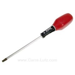 920735  TOURNEVIS TORX PERCE 30 8,40 €