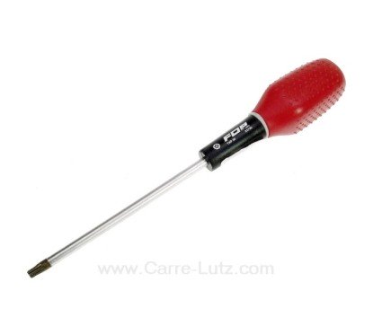 920735  TOURNEVIS TORX PERCE 30 8,40 €