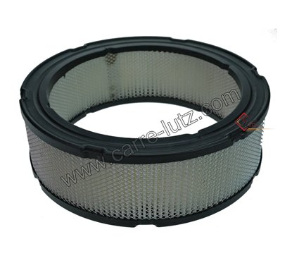 9981009  394018 - Filtre à air pour moteur Briggs & Straton 7,10 €