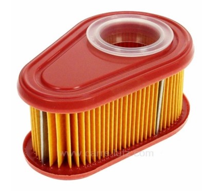 9981131  792038 - Filtre à air pour moteur Briggs & Straton  5,40 €