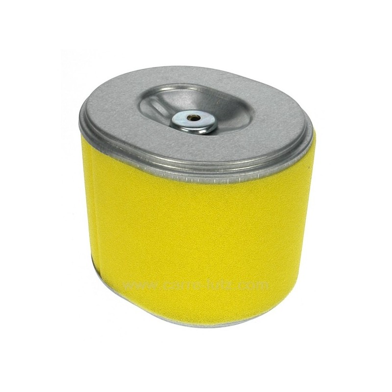 17210ZE3000 - Filtre à air pour moteur Honda 17210ZE3000 - Filtre à air pour moteur Honda