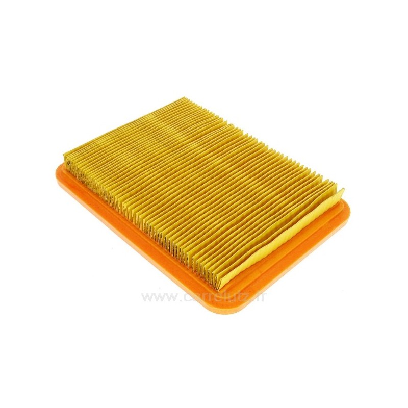 Filtre à air 66150155 pour moteurs chinois