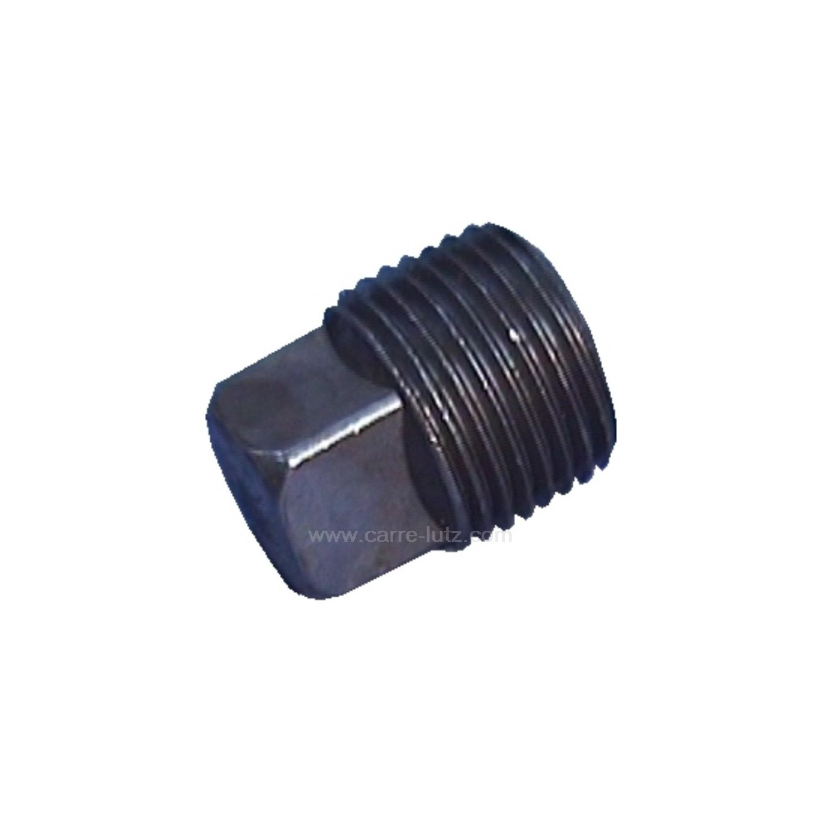 9981862  BOUCHON DE CARTER 10,10 €