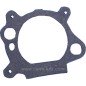 Joint carburateur pour moteur 795629 Briggs & Stratton