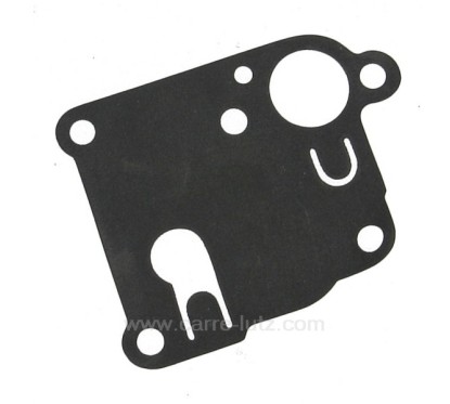 270253 - Membrane de carburateur Briggs & Stratton 