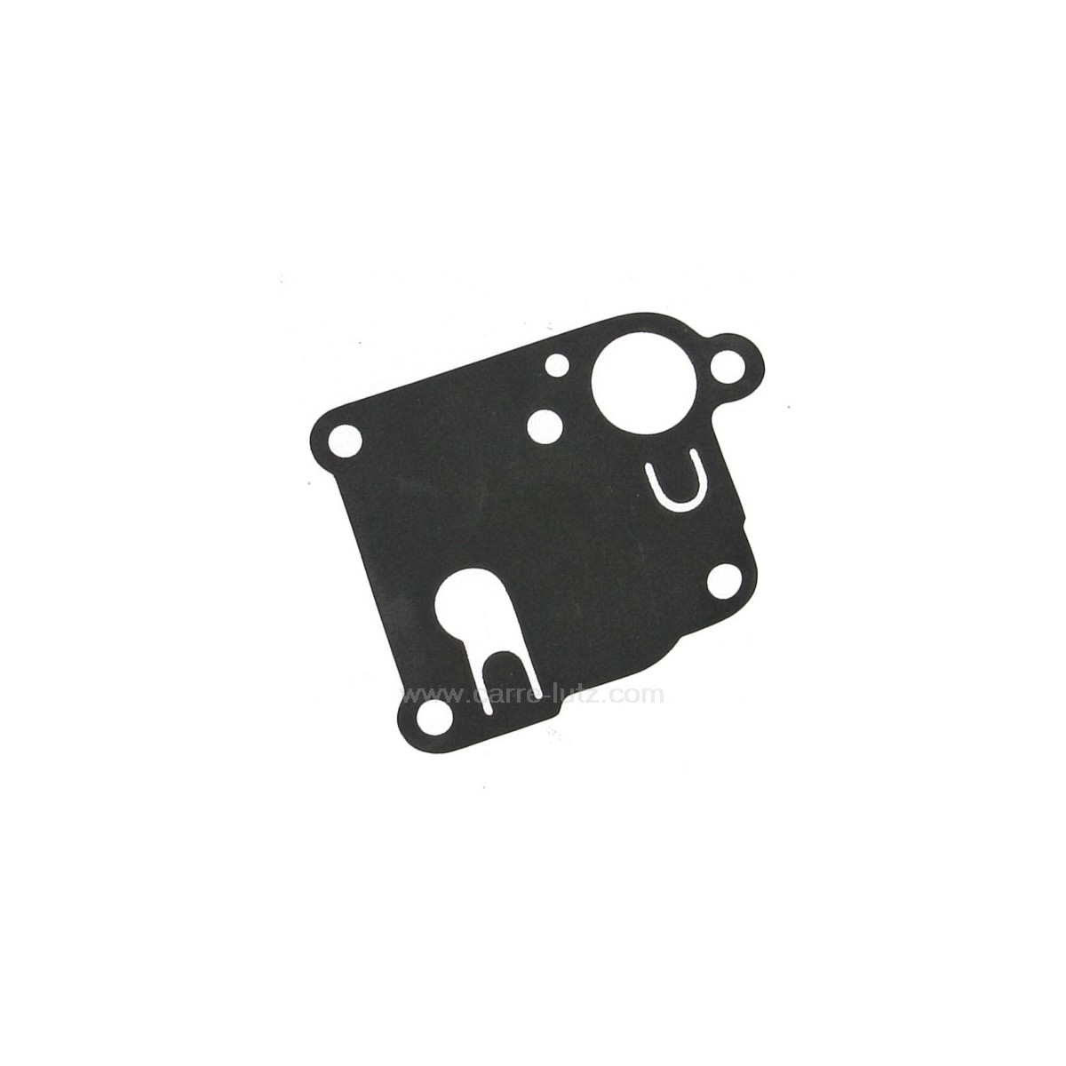 9981908  270253 - Membrane de carburateur Briggs & Stratton  3,90 €