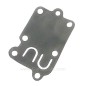 272538 - Membrane de carburateur Briggs & Stratton 