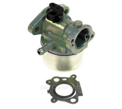 9981982  498170 - Carburateur Briggs&Stratton  13,80 €