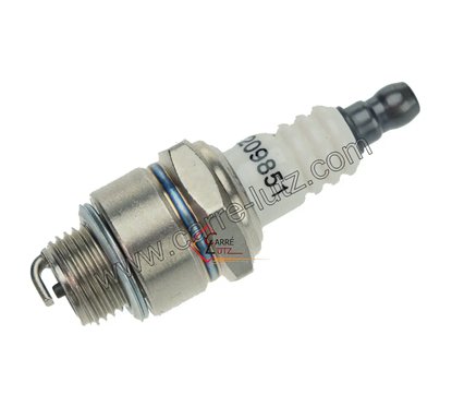 9982080  RJ19LM ou LR19A ou G3RF ou BR2LM - Bougie Champion 2,20 €