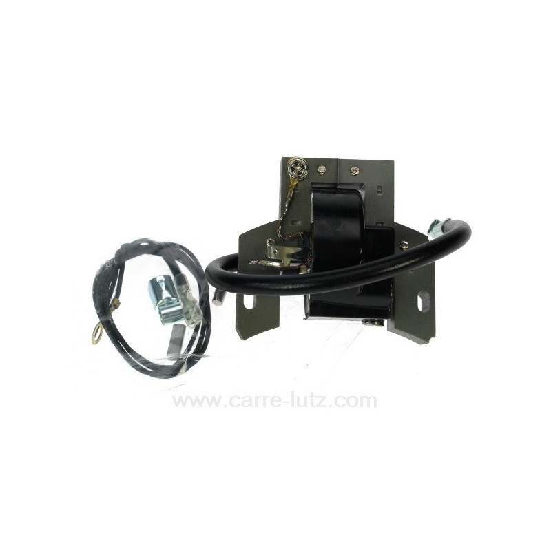 9982201  398593 ou 496914 - Bobine d'allumage pour moteur Briggs & Stratton 50,90 €