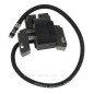 492341 ou 490586 ou 491312 ou 495857 - Bobine d'allumage pour moteur Briggs & Stratton 492341 ou 490586 ou 491312 ou 495857 - Bobine d'allumage pour moteur Briggs & Stratton