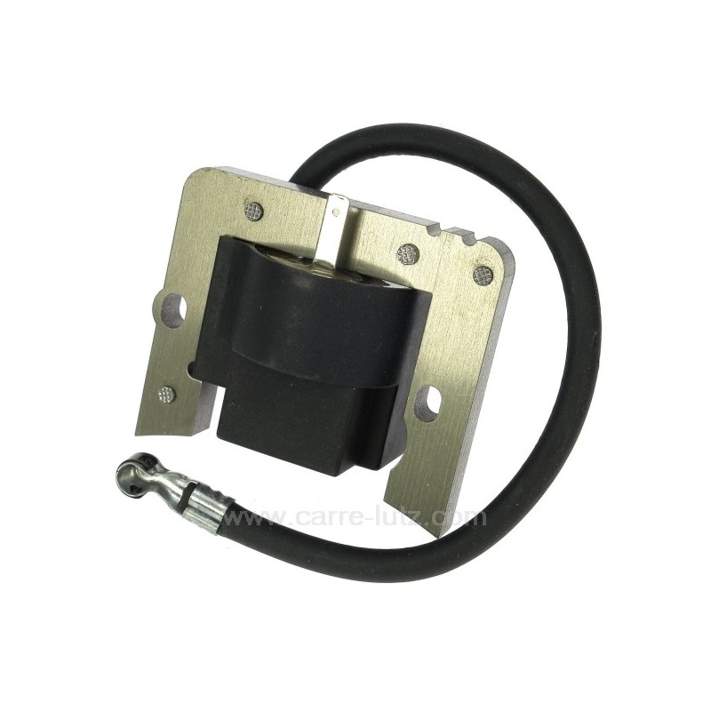 9982206 35135 - Bobine d'allumage Tecumseh et Tecnamotor 82,20 € 9982206 35135 - Bobine d'allumage Tecumseh et Tecnamotor 82,20 €