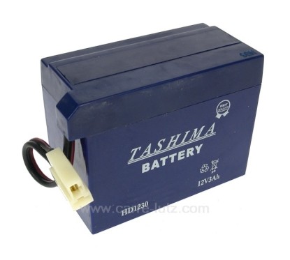 Batterie 12 volts 3 ampères