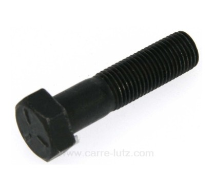 9987351  Vis de lame de tondeuse à gazon pas à gauche Castelgarden 12735695/0 1,60 €