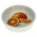 Moule a creme brulee orange
