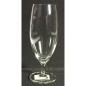 Flute champagne Wine basic x 6