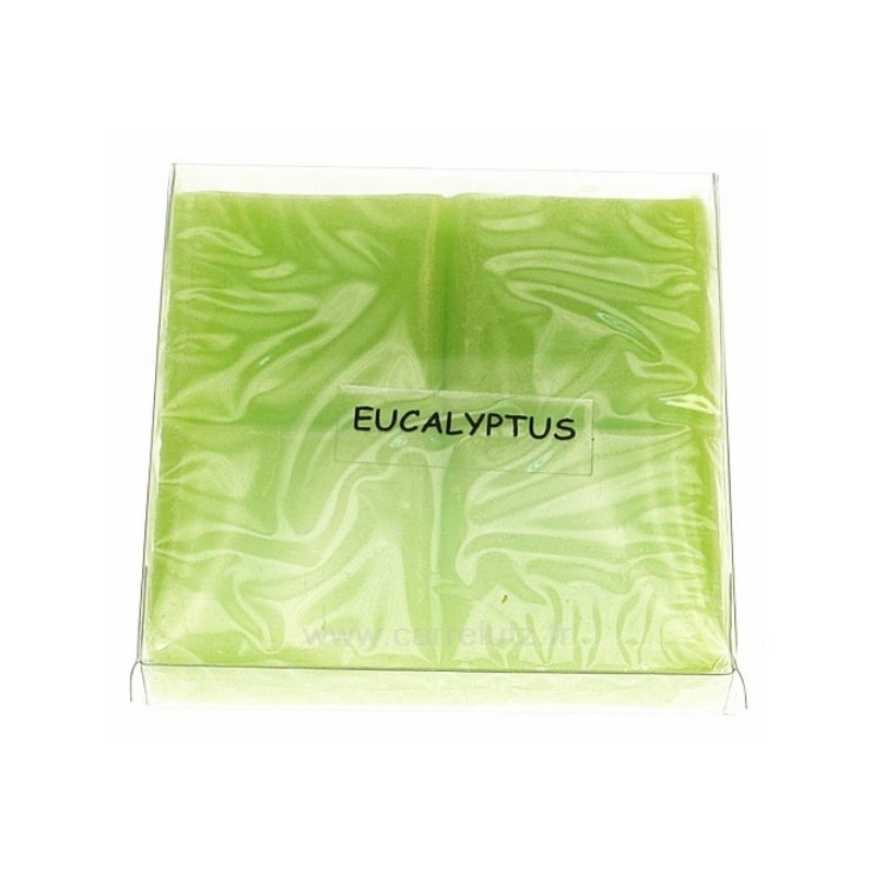 Pastille parfumée eucalyptus Drake pour brule parfum﻿