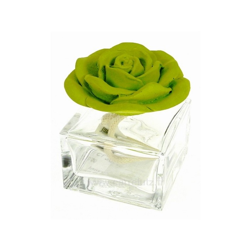 CL30000305 Diffuseur de parfum rose en platre verte 10,00 € CL30000305 Diffuseur de parfum rose en platre verte 10,00 €