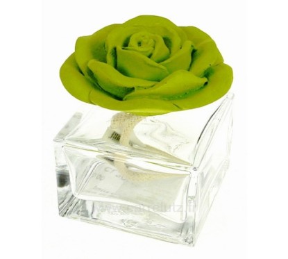 Diffuseur de parfum rose en platre verte﻿