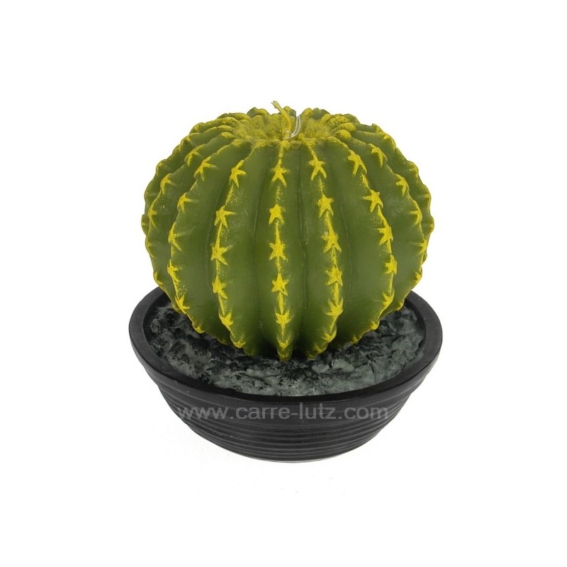 Bougie Cactus hauteur 14 cm Point à la ligne