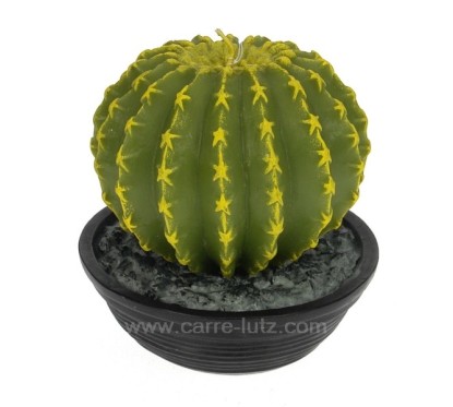 Bougie Cactus hauteur 14 cm Point à la ligne