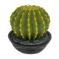 Bougie Cactus hauteur 14 cm Point à la ligne