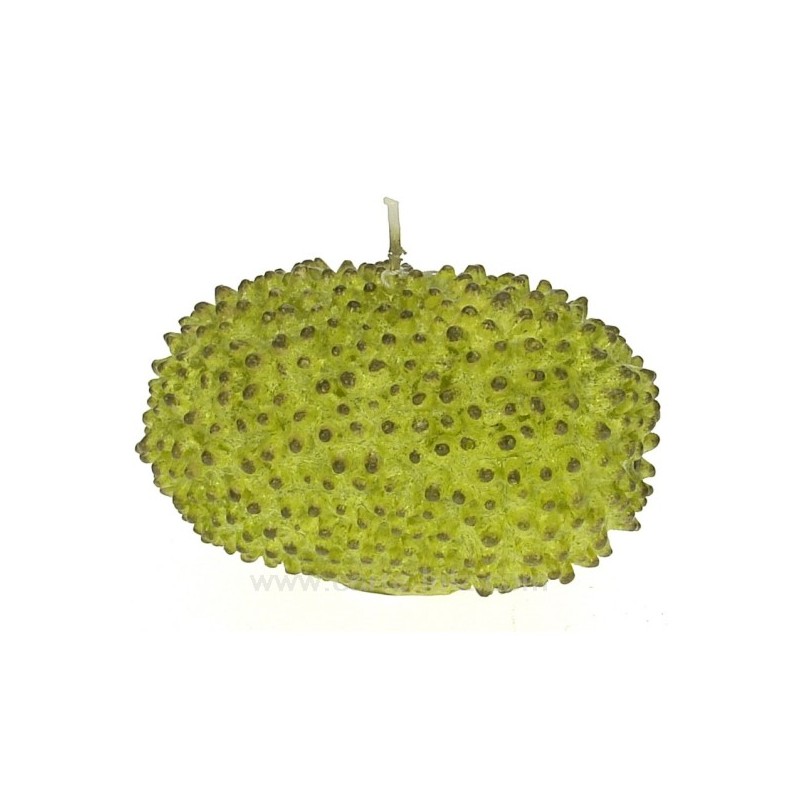 CL31000140  Bougie Graine verte Point à la ligne 8,00 €