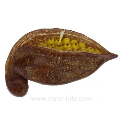 CL31000141  Bougie Graine brachicyton Point à la ligne 7,00 €