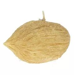 CL31000149  Bougie Graine éponge mintola Point à la ligne 8,00 €