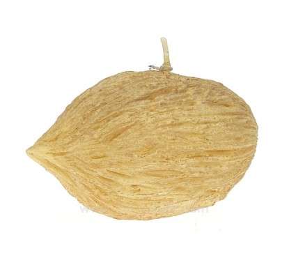 CL31000149  Bougie Graine éponge mintola Point à la ligne 8,00 €