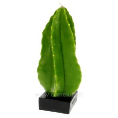 CL31000218  bougie Cactus colonnaire hauteur 23 cm Point à la ligne 29,00 €