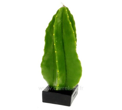 bougie Cactus colonnaire hauteur 23 cm Point à la ligne