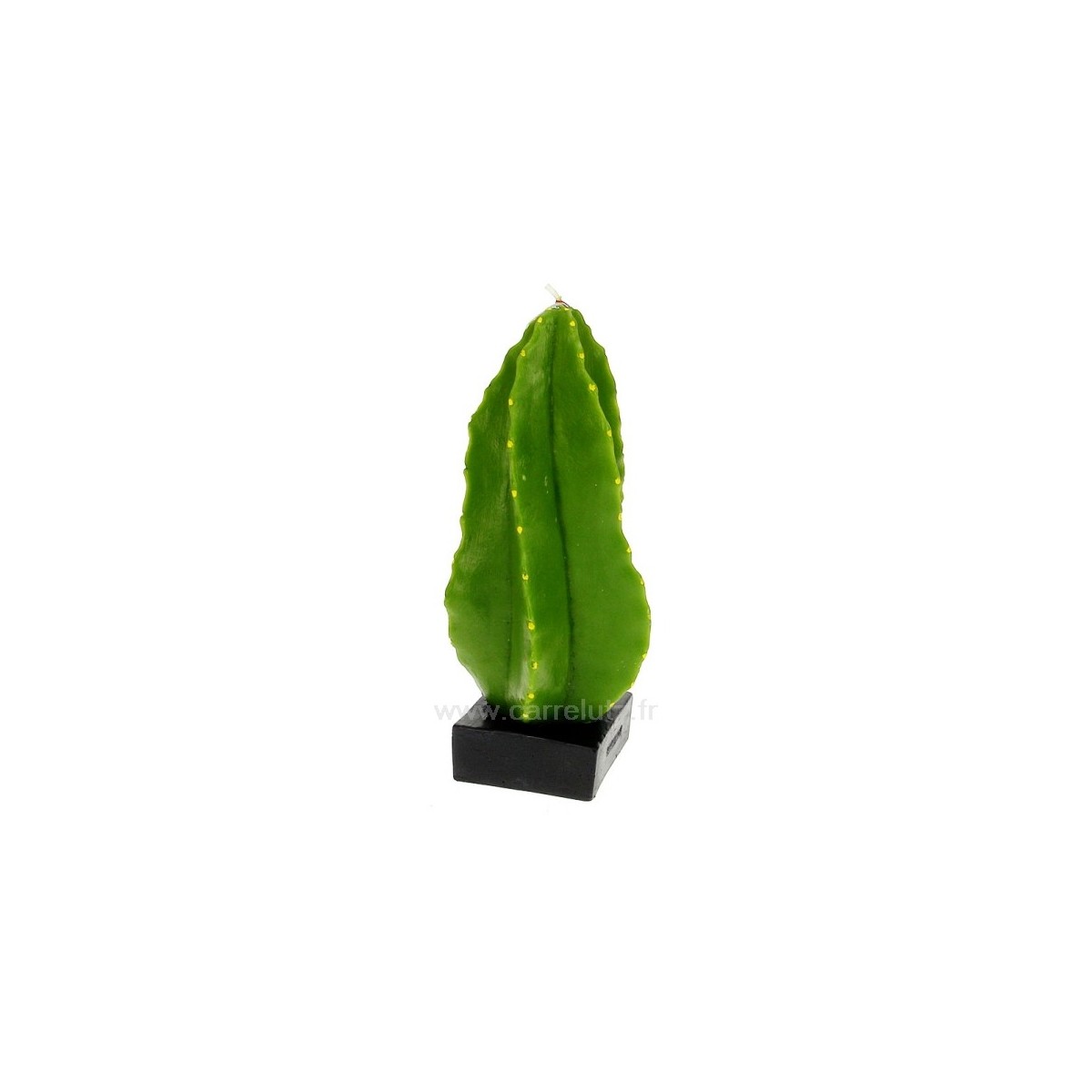 CL31000218  bougie Cactus colonnaire hauteur 23 cm Point à la ligne 29,00 €