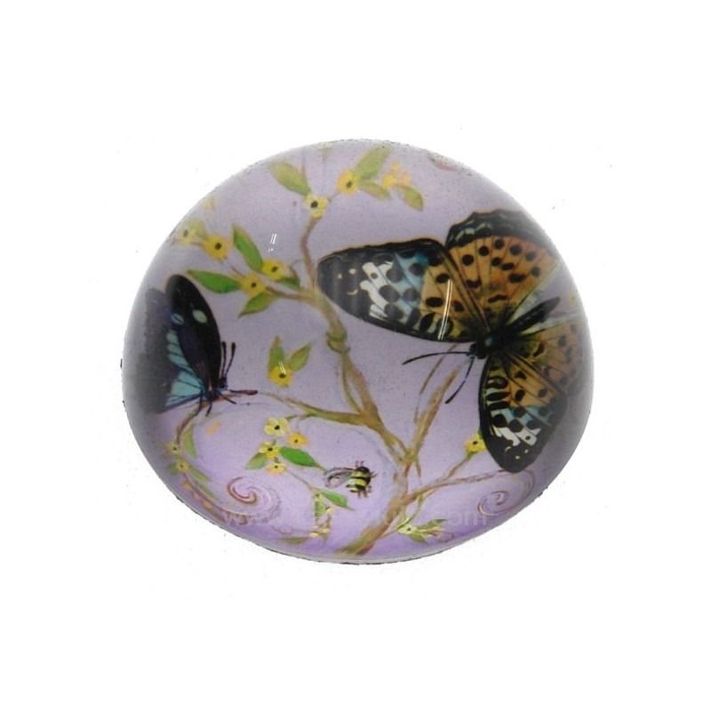 Sulfure papillon fond violet