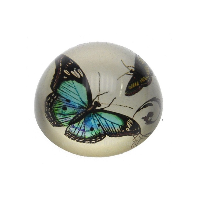 CL41000035 Sulfure papillon fond nacre 19,30 € CL41000035 Sulfure papillon fond nacre 19,30 €