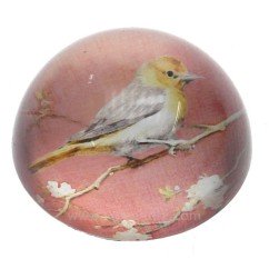 CL41000036  Sulfure oiseau fond rose 19,30 €