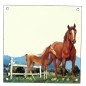Plaque emaillee cheval