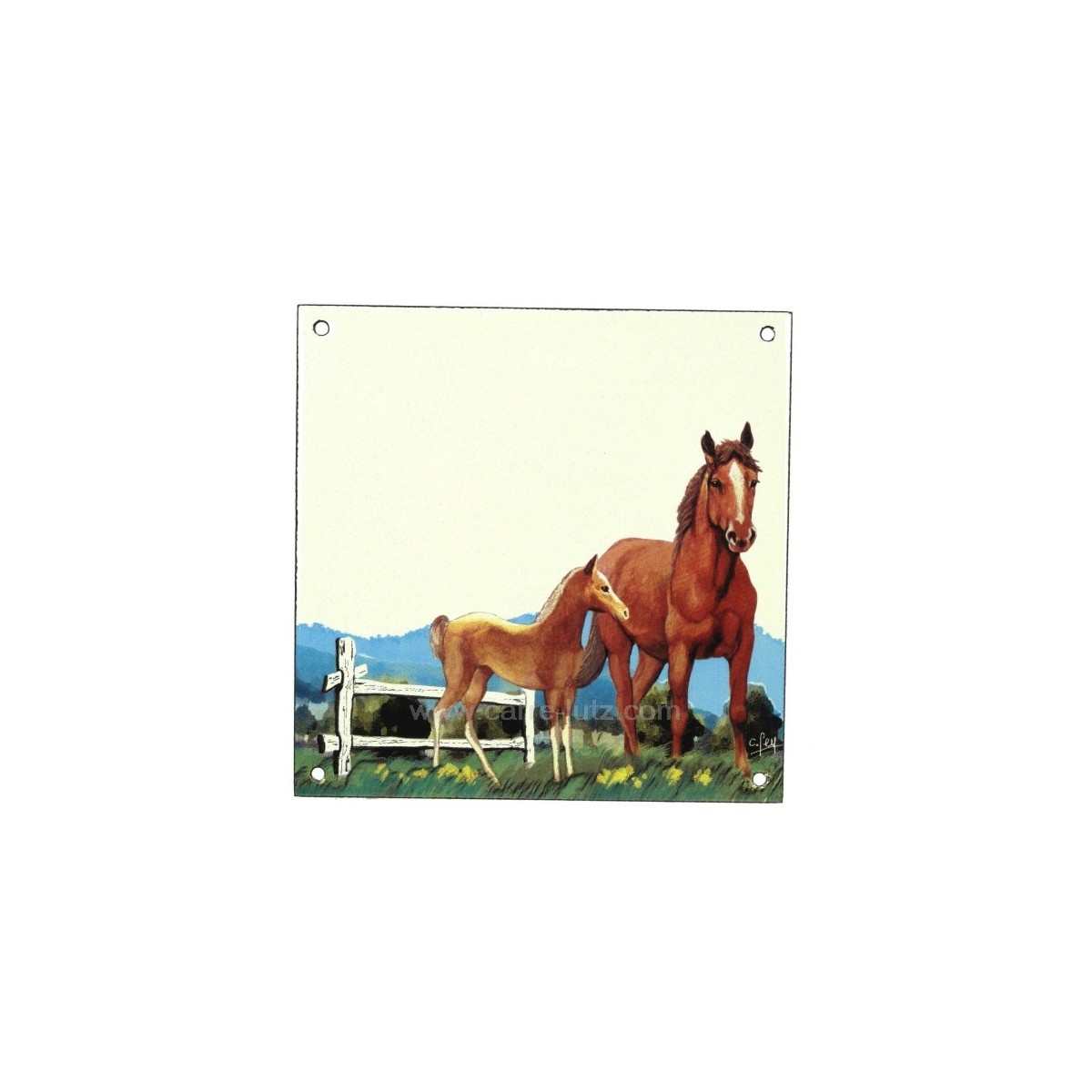 CL46302001  Plaque emaillee cheval 28,10 €