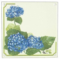 CL46302002  Plaque emaillee orthensia 28,10 €