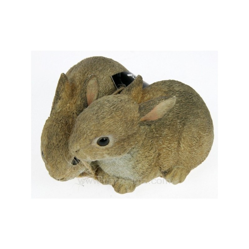 CL49101000  PAIRE DE LAPIN 26,10 €