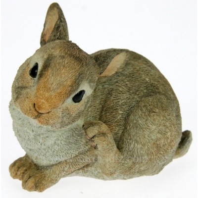 CL49101001  LAPIN 33,90 €