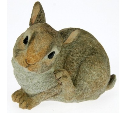 CL49101001  LAPIN 33,90 €