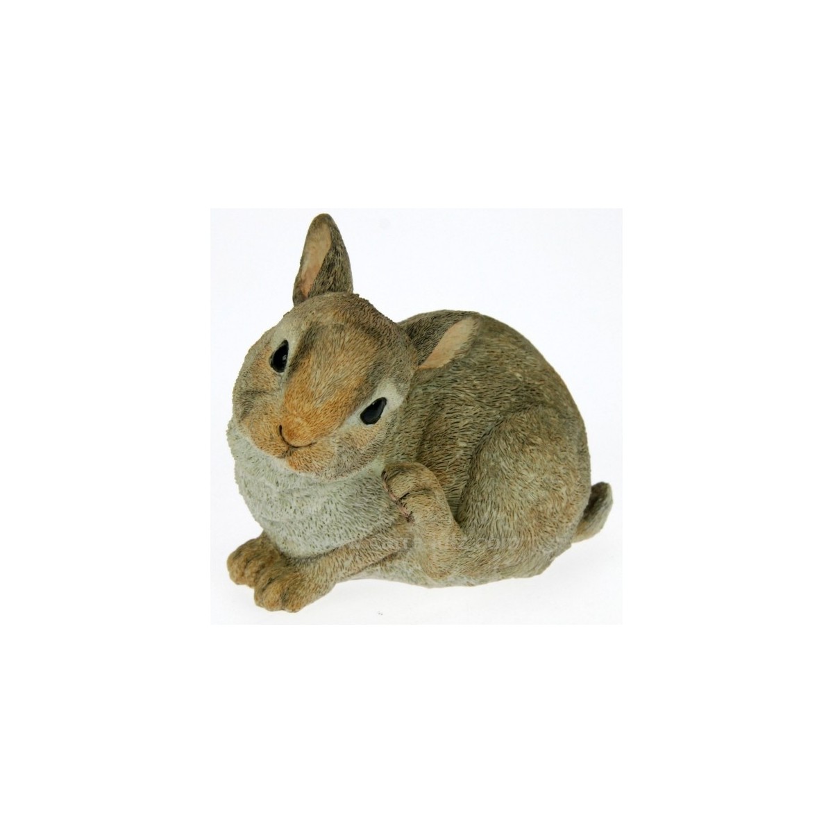CL49101001 LAPIN 33,90 € CL49101001 LAPIN 33,90 €