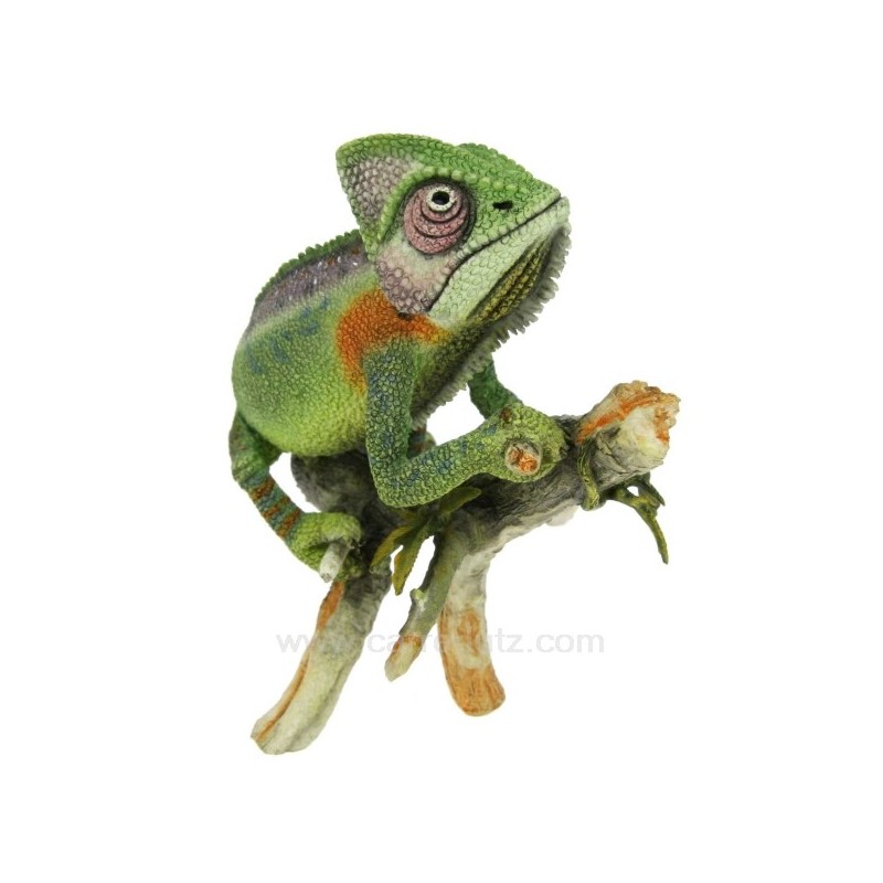 CL49401001  CAMeLeON 62,50 €